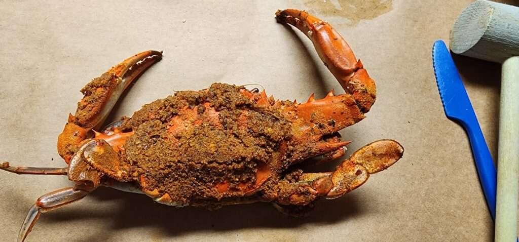 Winters Run Inn Inc photo 2