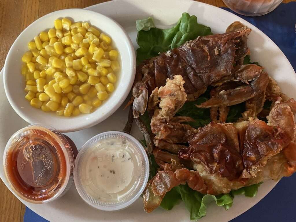 Winters Run Inn Inc photo 6